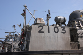 LCAC-2103@菊